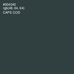 #304040 - Cape Cod Color Image